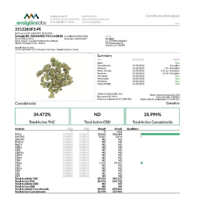 Grassroots - Pillow Mints (I) Flower  C0030001468 - Image 3