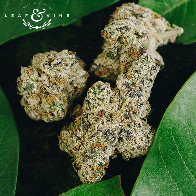 Tropicana Cookies - Image 2