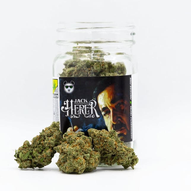 Jack Herer - Image 1 Jack Herer - Image 1