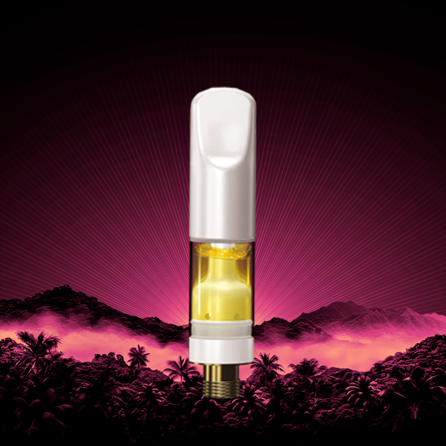 Animal Face - Image 2