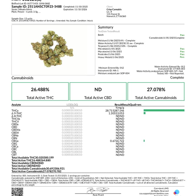 Let's Burn - Mikado Mintz (H) Flower C0200000006 - Image 6 Let's Burn - Mikado Mintz (H) Flower C0200000006 - Image 6