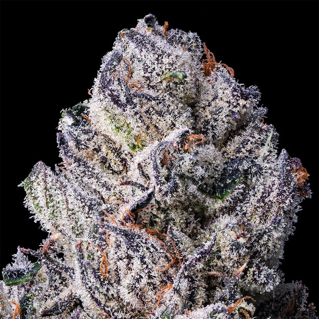 98K Pre-Roll [1g] - Image 4