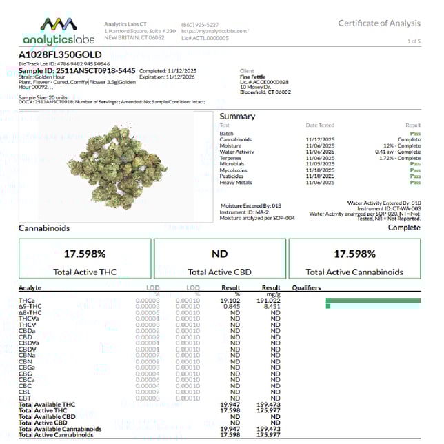 Comffy - Golden Hour (H) Flower  C0140000092 - Image 3