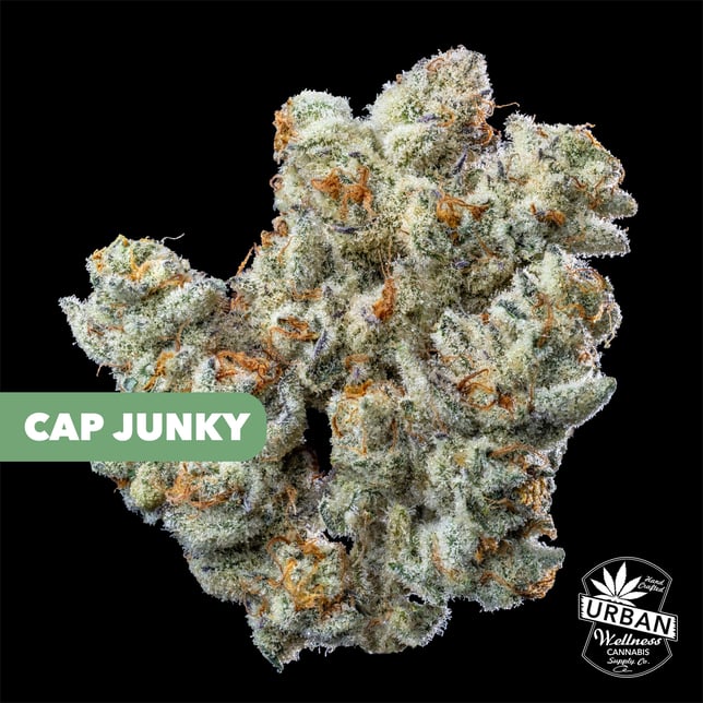 Cap Junky - Image 1