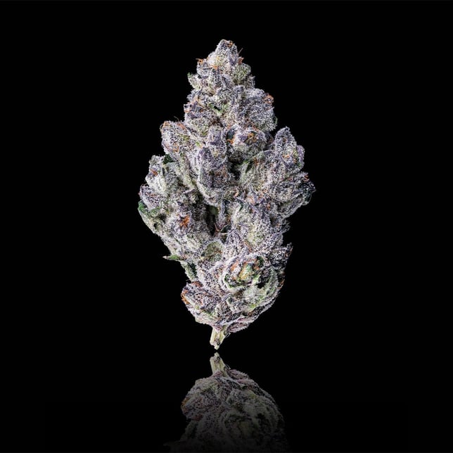 98K Pre-Roll 5-Pack [2.5g] - Image 2