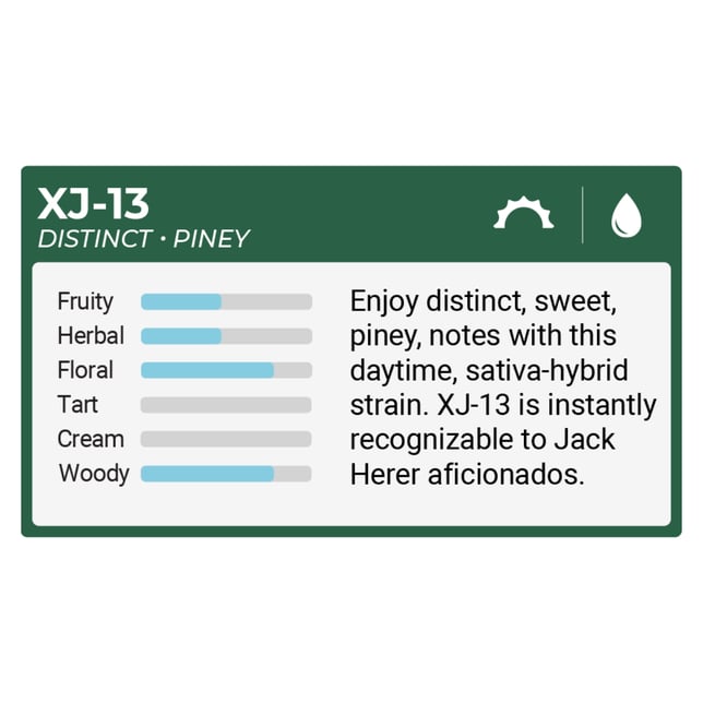 The Clear Original Cartridge 2000mg | XJ-13 - Image 2