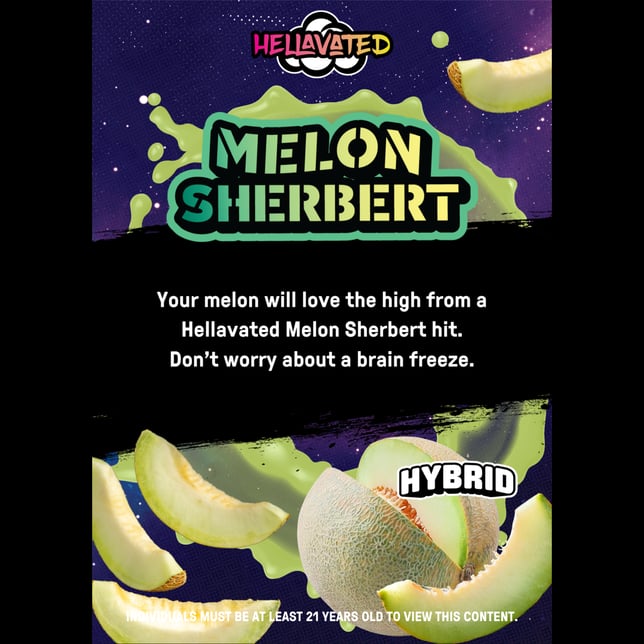 Melon Sherbert - Image 2
