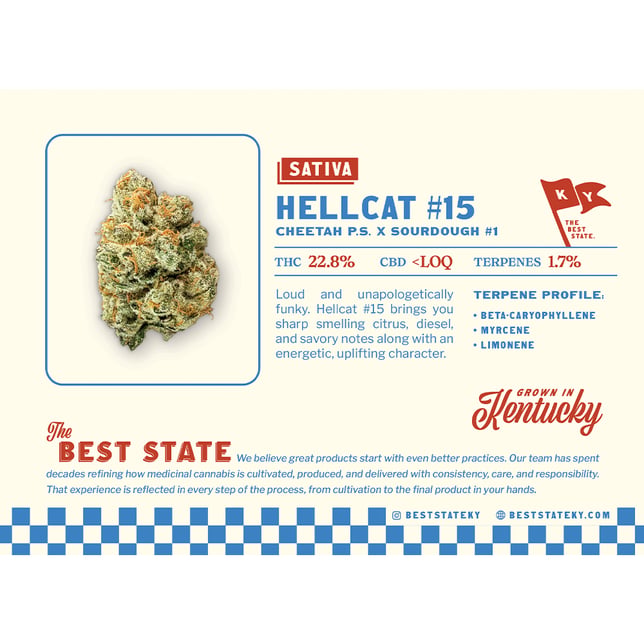 Hellcat #15 - Image 4