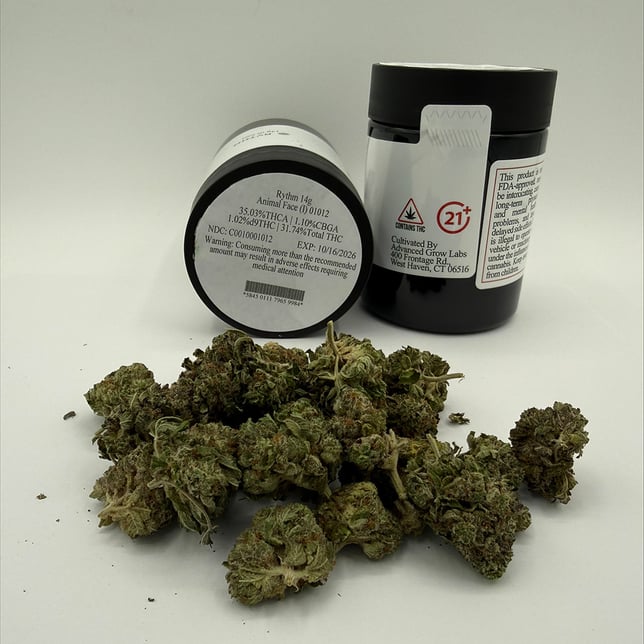 Rythm - Animal Face (I) Flower  C0010001012 - Image 2