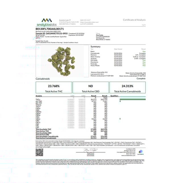 Comffy - Jai Alai (S) Flower C0140000171 - Image 3 Comffy - Jai Alai (S) Flower C0140000171 - Image 3