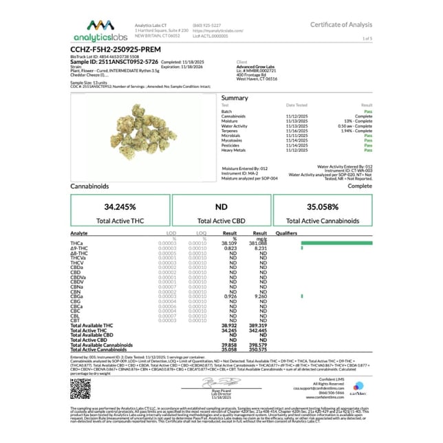 Rythm - Cheddar Cheeze (I) Flower C0010001093 - Image 4 Rythm - Cheddar Cheeze (I) Flower C0010001093 - Image 4