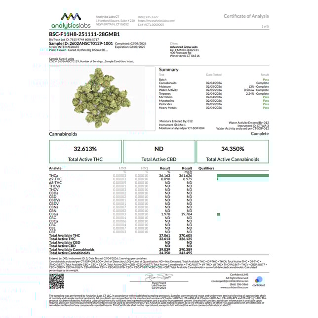 Rythm - B Scout (I) Flower  C0010001298 - Image 4
