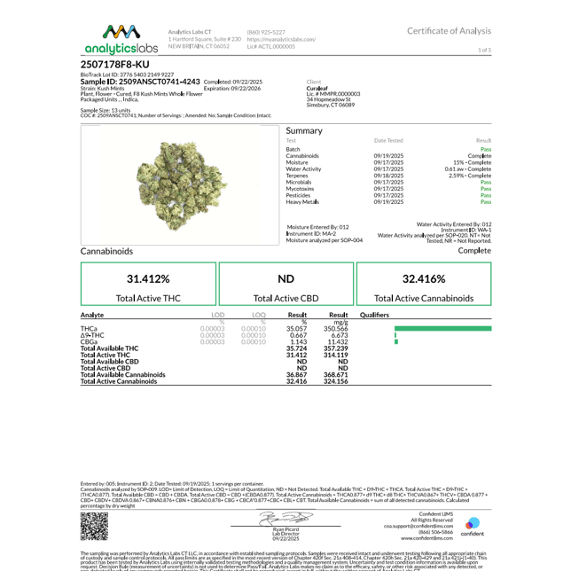Curaleaf - Kush Mints (I) Flower  C0030001061 - Image 3