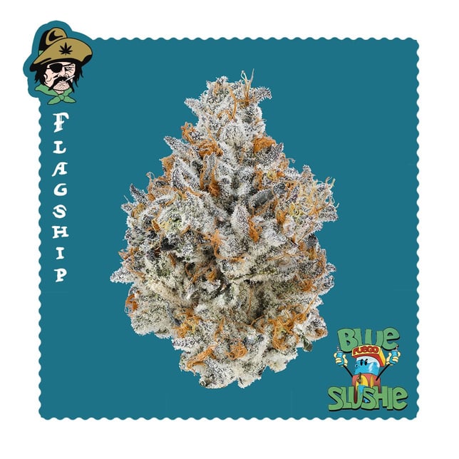 Blue Slushie - Image 2 Blue Slushie - Image 2