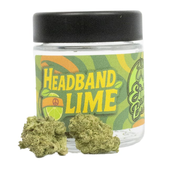 Headband Lime - Image 2 Headband Lime - Image 2