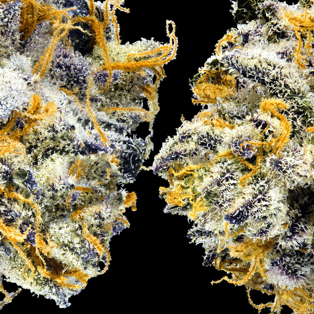 Blue Agapē Pre-Roll [1g] - Image 5