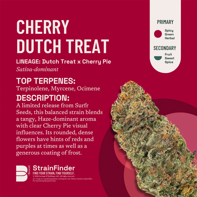 Cherry Dutch Treat - Image 3