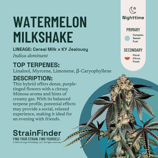 Watermelon Milkshake - Image 3