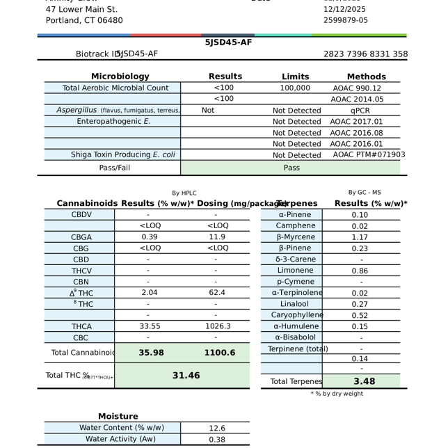 Affinity Grow - Sunshine Daydream (I) Flower  C0090000780 - Image 4