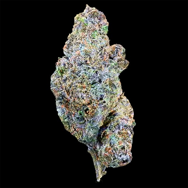 Black Cherry Buff - Image 2