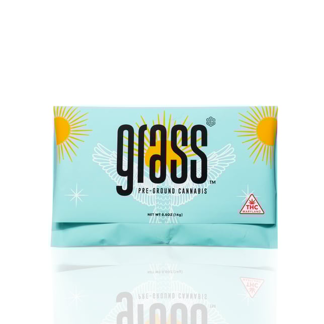 Sparkle Pony - Image 2