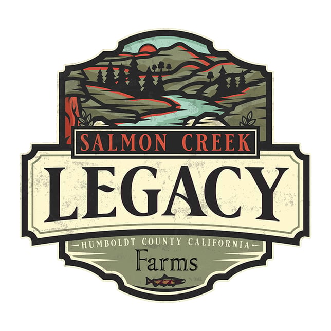 Ice Cream Cake - Image 1 Ice Cream Cake - Image 1