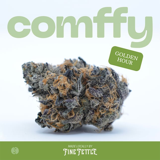 Comffy - Golden Hour (H) Flower  C0140000068 - Image 1