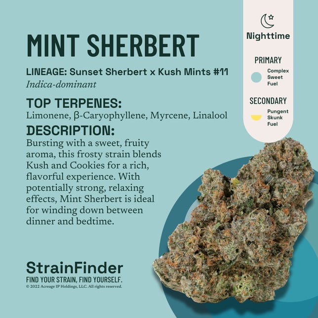 Mint Sherbert - Image 3 Mint Sherbert - Image 3