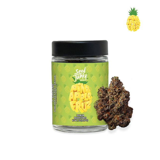Pineapple Fruz - Image 2