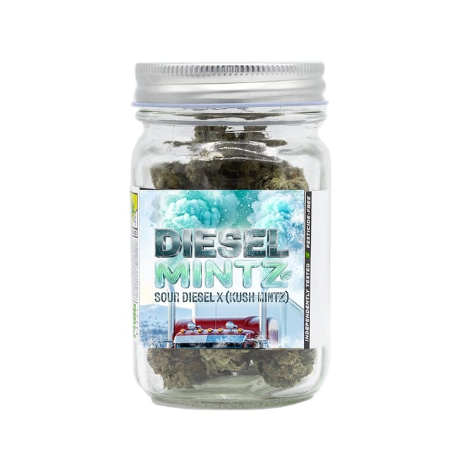 Diesel Mintz - Image 1