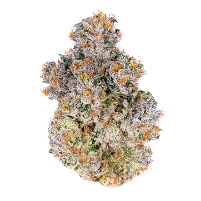 Baklava - Image 2 Baklava - Image 2