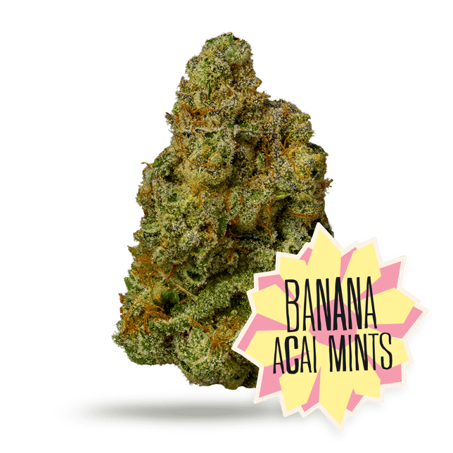 Banana Acai Mints - Image 1