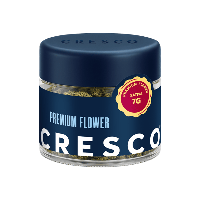 Mango Mintality - Image 3