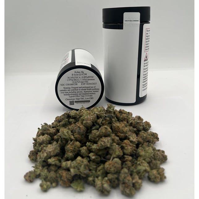 Rythm - B Scout (I) Flower  C0010001298 - Image 2