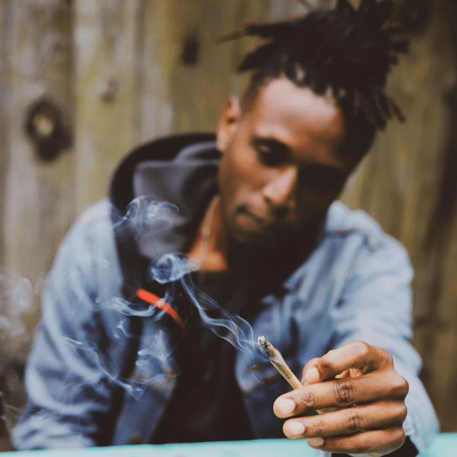 Key Lime Jack Pre-Roll 5-Pack [2.5g] - Image 8