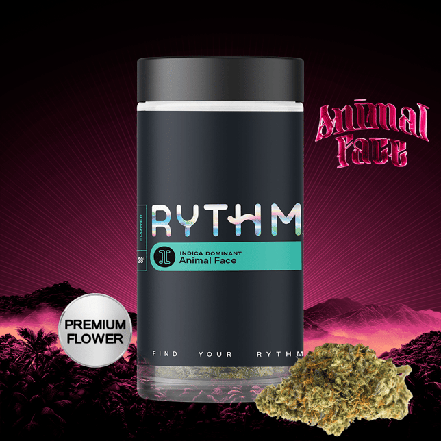 Animal Face - Image 6 Animal Face - Image 6