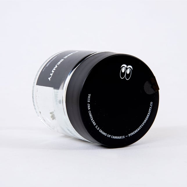 High Canopy - Image 3 High Canopy - Image 3