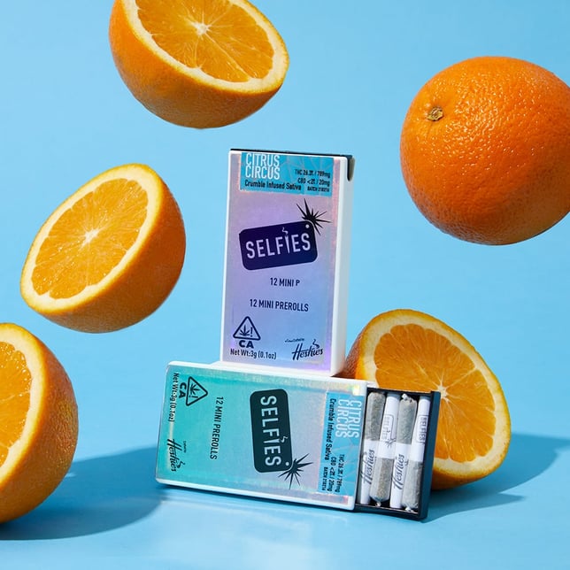 Citrus Circus (12pk) - Image 1 Citrus Circus (12pk) - Image 1