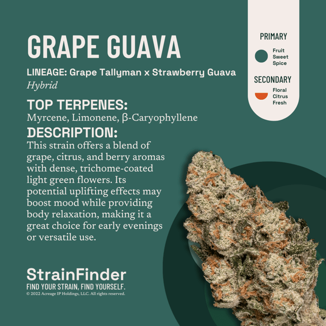 Grape Guava - Image 3
