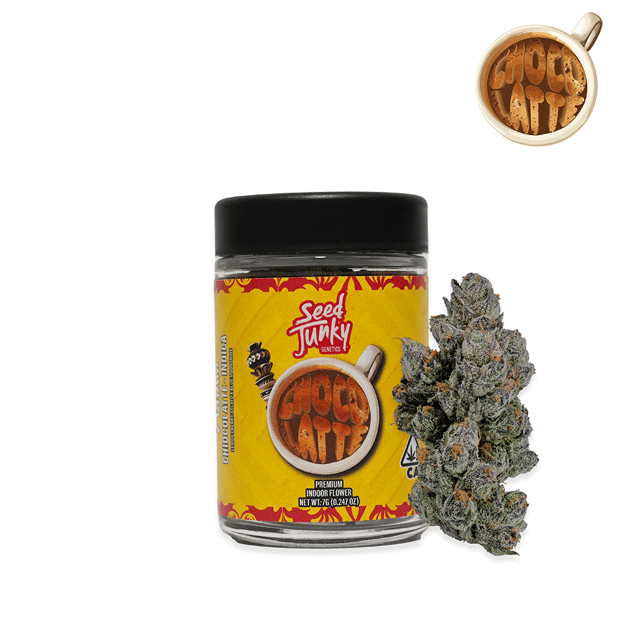 Chocolatte - Image 2