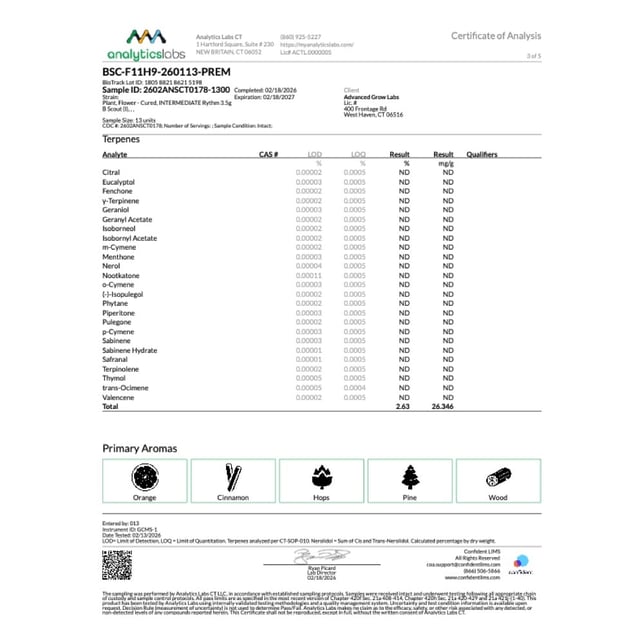 Rythm - B Scout (I) Flower C0010001324 - Image 5 Rythm - B Scout (I) Flower C0010001324 - Image 5