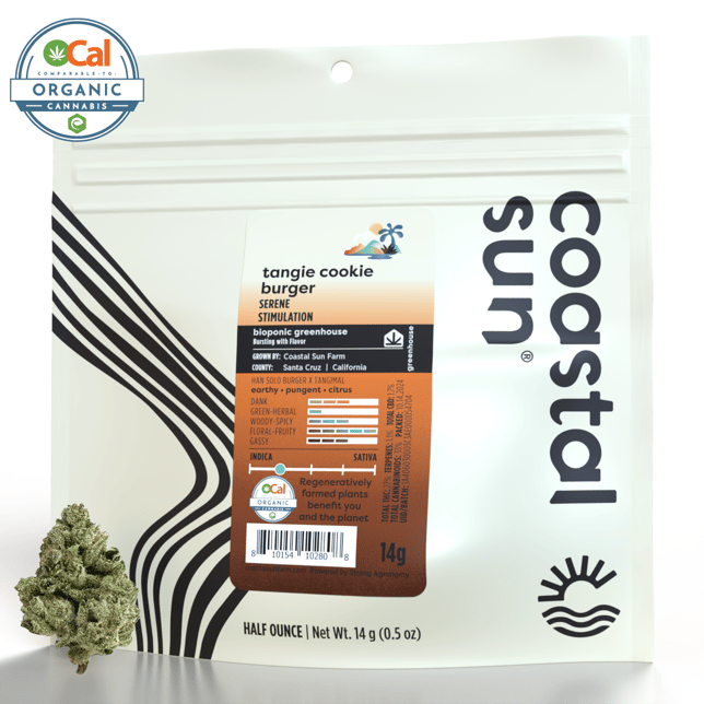 Tangie Cookie Burger - Image 2
