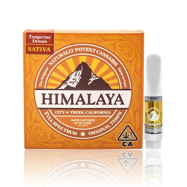 Tangerine Dream - Image 1