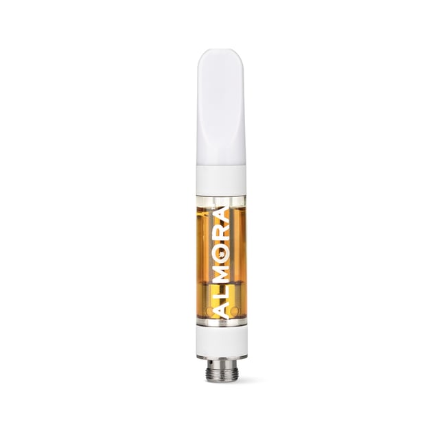 Caramel Cream - Image 5