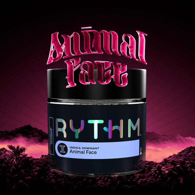 Animal Face - Image 4 Animal Face - Image 4