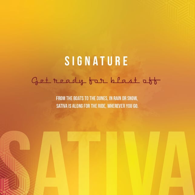 Batch | AIO | Signature Sativa | 1 g - Image 3 Batch | AIO | Signature Sativa | 1 g - Image 3