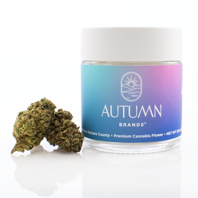 LA Pop Rockz - Image 1 LA Pop Rockz - Image 1