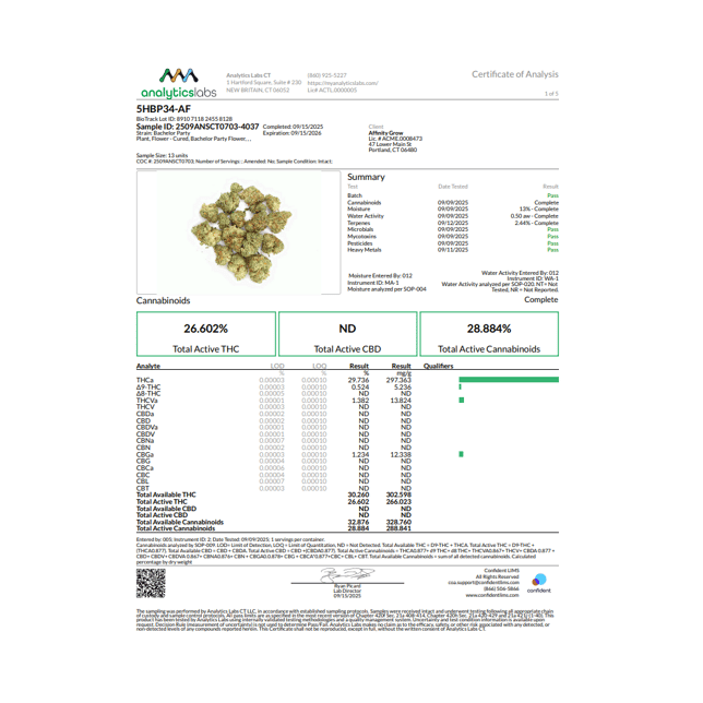 Affinity Grow - Bachelor Party (H) Flower  C0090000657 - Image 4