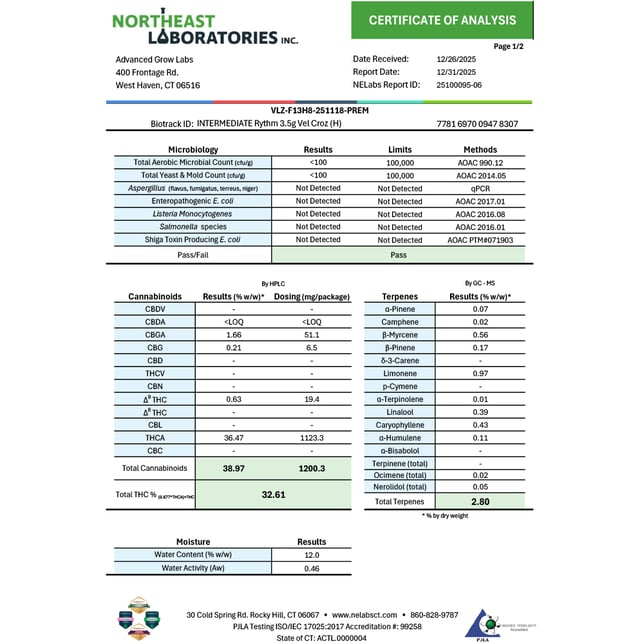 Rythm - Vel Croz (H) Flower  C0010001208 - Image 4