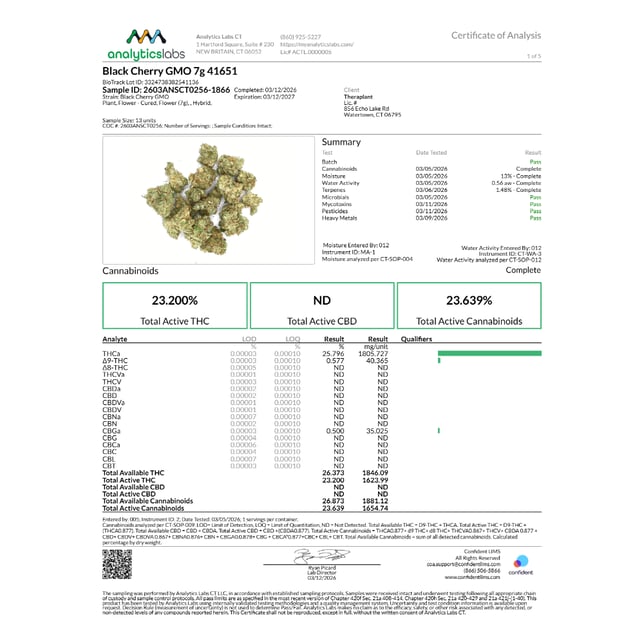 Theraplant - Black Cherry GMO (H) Flower  C0040001651 - Image 3